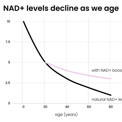 NAD++graph-6